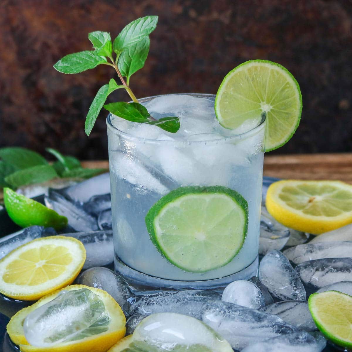 The 10 Best LowCarb Cocktails for Diabetics